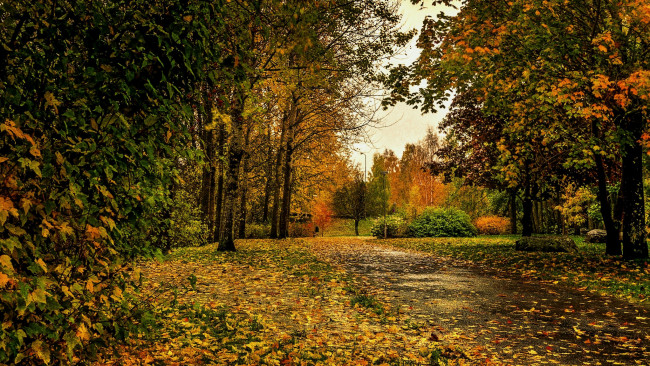 Обои картинки фото природа, дороги, простор