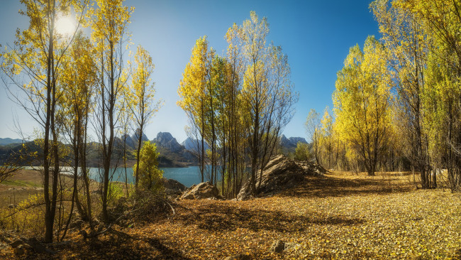 Обои картинки фото природа, пейзажи, простор