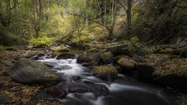 Обои картинки фото природа, реки, озера, простор