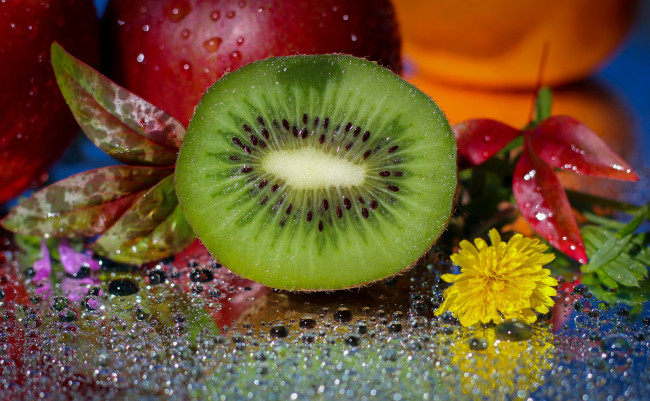 Обои картинки фото еда, киви, цветы, листики, капли