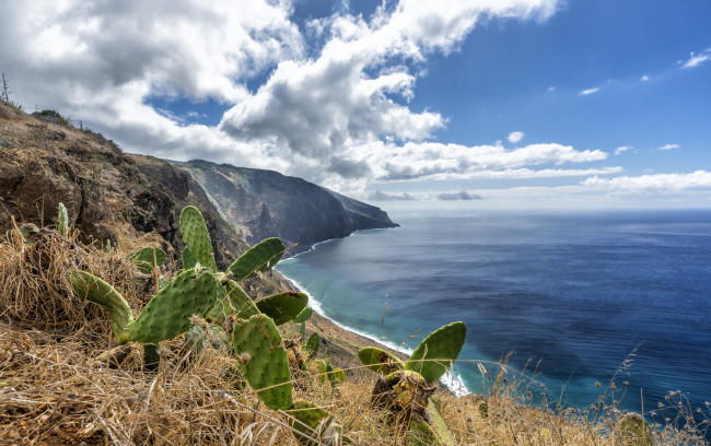 Обои картинки фото природа, побережье, простор