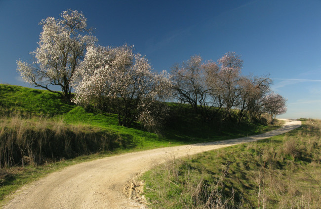 Обои картинки фото природа, дороги, простор