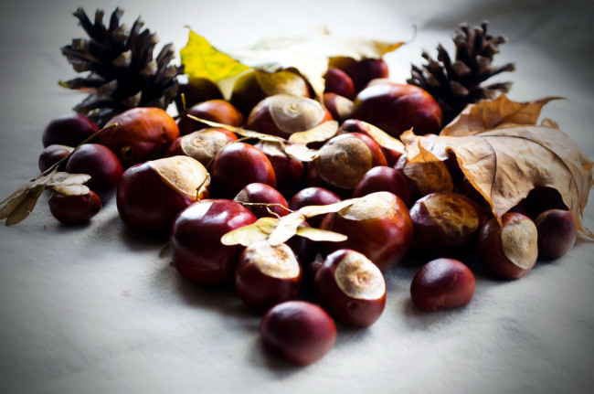 Обои картинки фото еда, орехи,  каштаны,  какао-бобы, каштаны