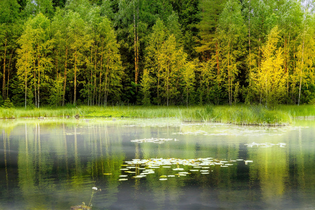 Обои картинки фото природа, реки, озера, простор