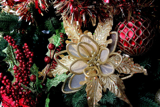 Обои картинки фото праздничные, украшения, пуансеттия