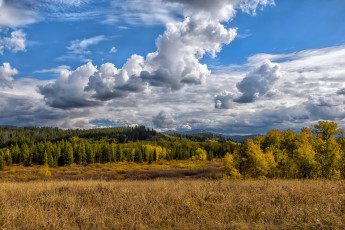 Картинка природа пейзажи простор