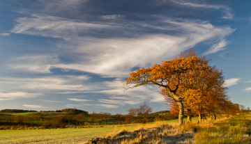 Картинка природа пейзажи простор