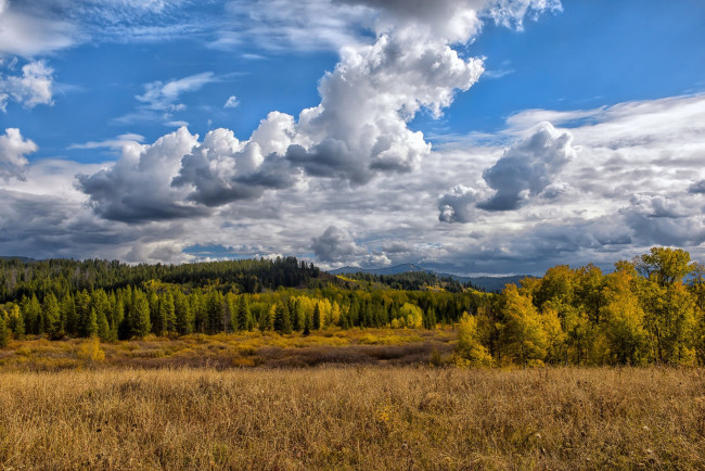 Обои картинки фото природа, пейзажи, простор