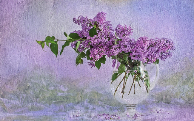 Обои картинки фото цветы, сирень, ваза, букет