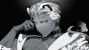 Картинка аниме животные +существа парень лицо ушки