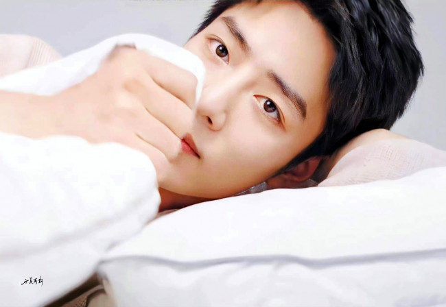 Обои картинки фото мужчины, xiao zhan, актер, лицо, постель