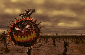 Картинка праздничные хэллоуин