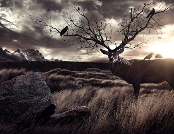 Обои картинки фото разное, компьютерный дизайн, олень, рога, дерево, ветки, птицы, тучи, горы, трава, камни