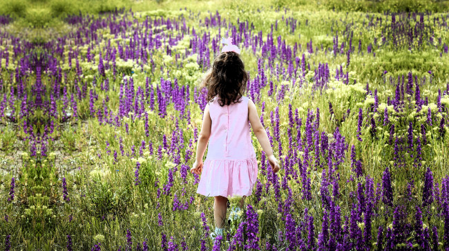 Обои картинки фото разное, дети, девочка, ребенок, луг, цветы, трава