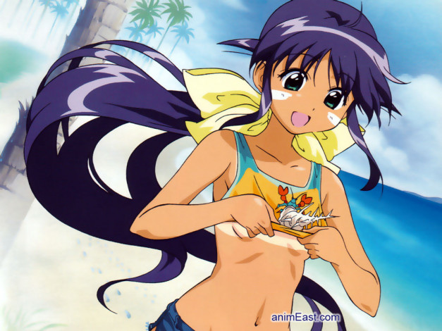 Обои картинки фото аниме, mahoromatic