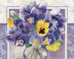 Картинка цветы анютины глазки садовые фиалки