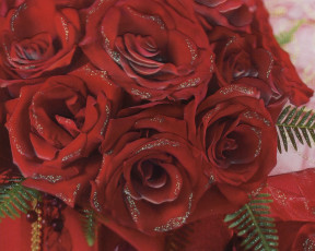 обоя цветы, розы