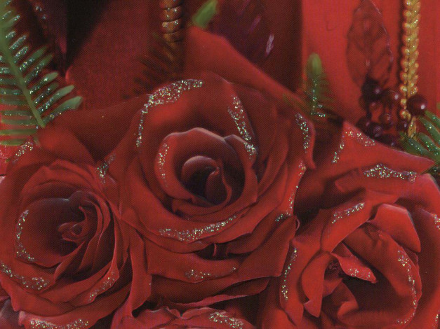 Обои картинки фото цветы, розы