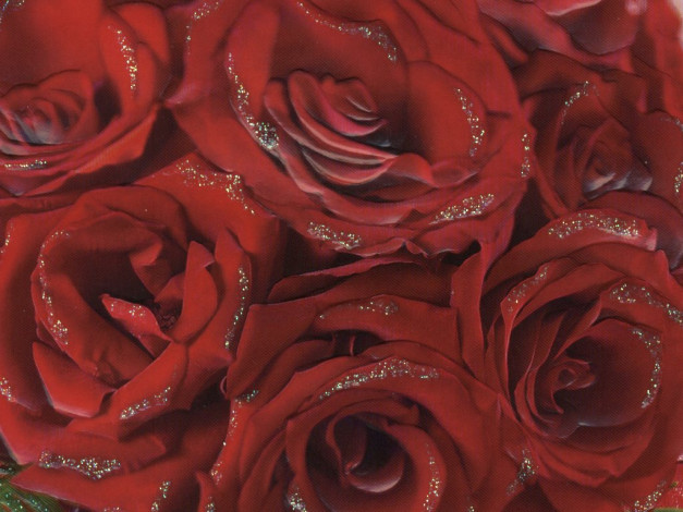 Обои картинки фото цветы, розы