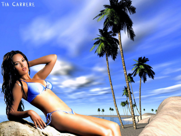 Обои картинки фото Tia Carrere, девушки