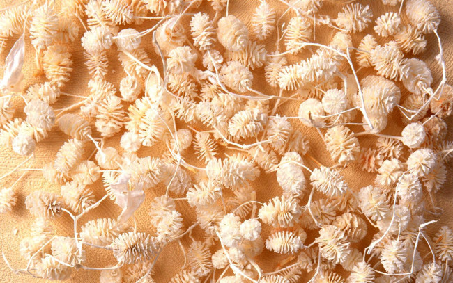 Обои картинки фото разное, текстуры