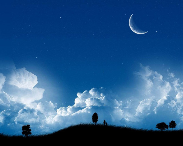 Обои картинки фото векторная, графика