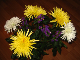 Картинка цветы букеты композиции