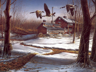 Картинка рисованные terry redlin