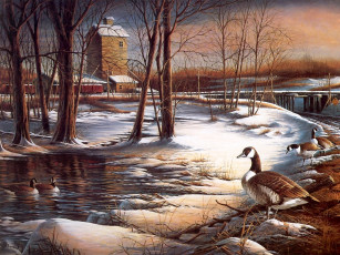 Картинка рисованные terry redlin