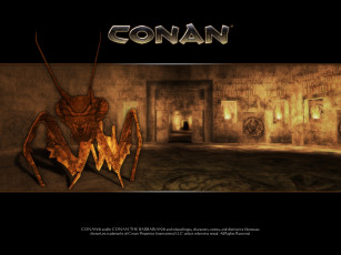 Картинка видео игры conan the dark axe