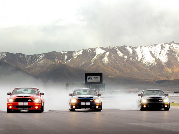 Обои картинки фото автомобили, mustang