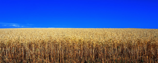 Обои картинки фото природа