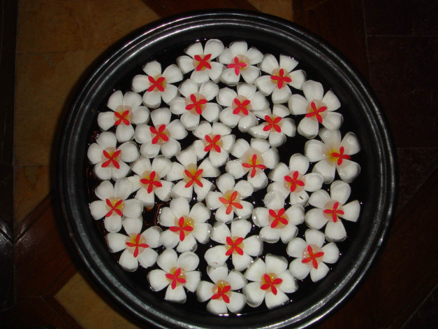 Обои картинки фото цветы, плюмерия