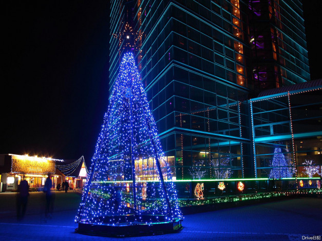 Обои картинки фото праздничные, Ёлки