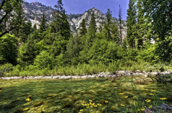 Картинка природа реки озера зелень деревья вода
