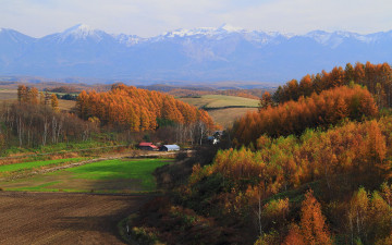 Картинка природа поля дома деревья