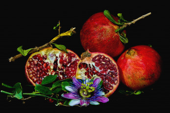Картинка еда гранат зерна плоды пассифлора