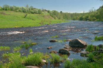 Картинка природа реки озера лес река