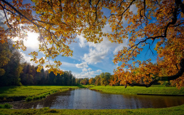 Картинка природа реки озера река лес