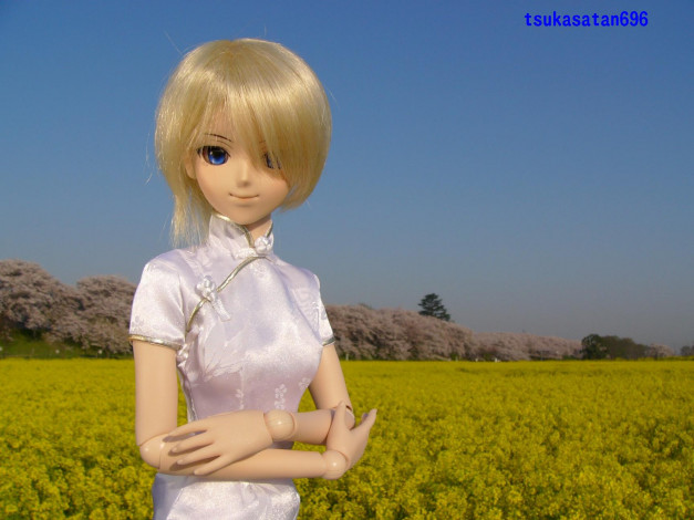 Обои картинки фото разное, игрушки, кукла