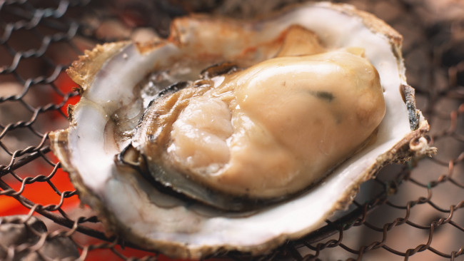 Обои картинки фото еда, рыба, морепродукты, суши, роллы, мидия, раковина