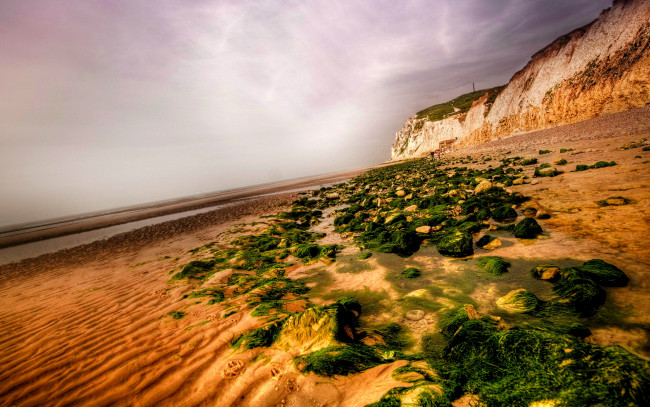 Обои картинки фото природа, побережье, тина, камни, песок, пляж, океан