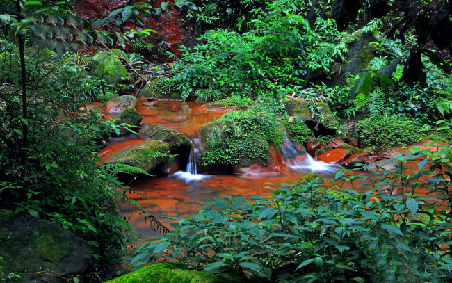 Обои картинки фото природа, реки, озера, камни, зелень, ручей