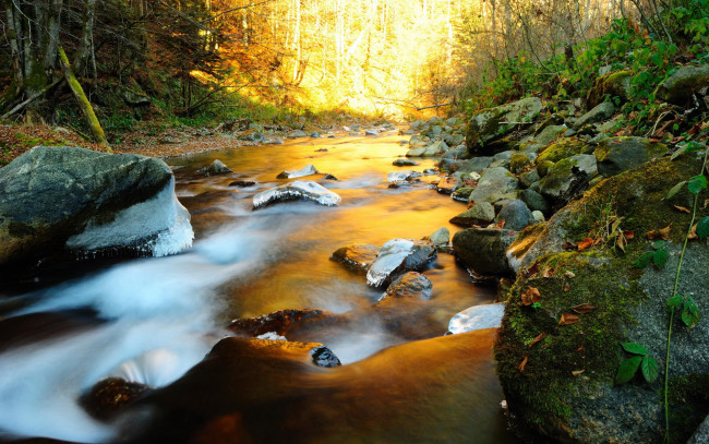 Обои картинки фото природа, реки, озера, лучи, река, лес, камни
