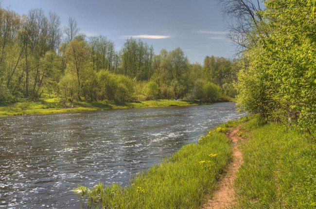 Обои картинки фото природа, реки, озера, лес, река