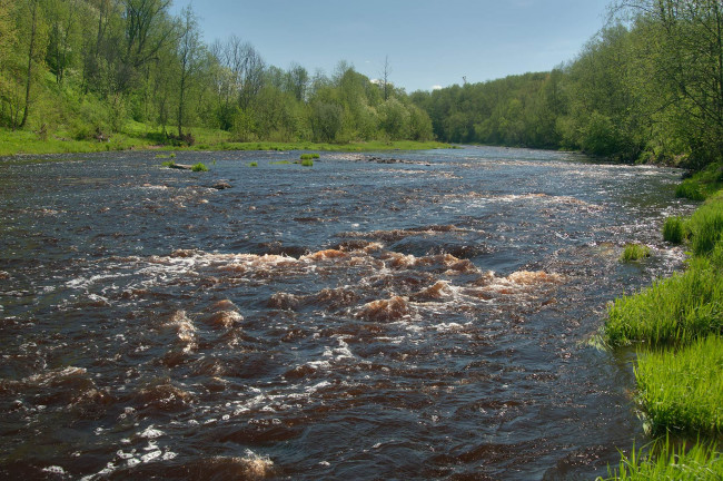 Обои картинки фото природа, реки, озера, лес, река