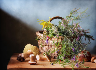 Картинка еда грибы +грибные+блюда