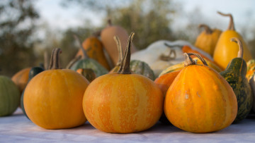 Картинка еда тыква