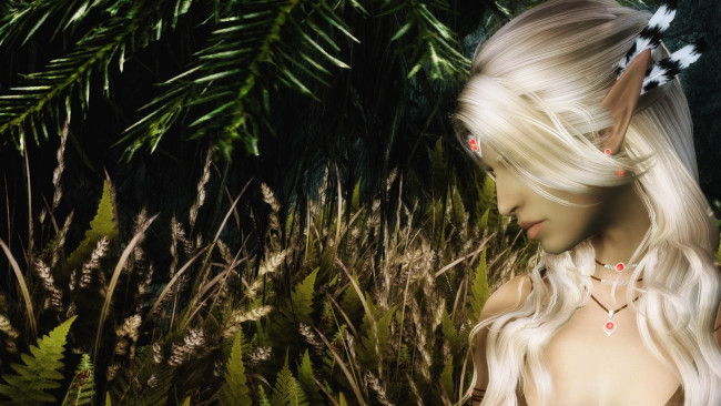 Обои картинки фото 3д графика, elves эльфы