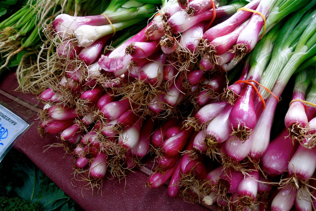 Обои картинки фото еда, лук
